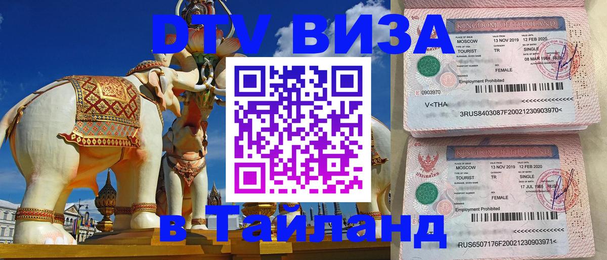 Оформление DTV визы под ключ: стоимость и тарифы, только загранпаспорт - 